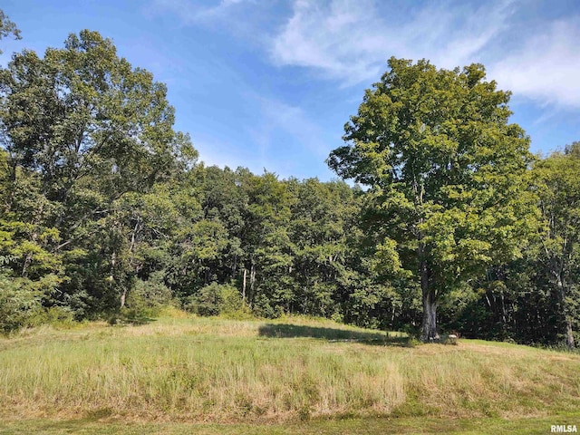 view of local wilderness featuring a view of trees