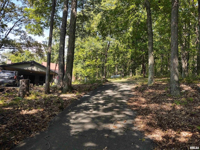 view of street with aphalt driveway