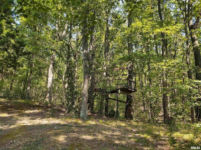 view of local wilderness with a view of trees