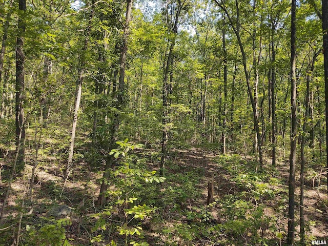 view of nature featuring a forest view