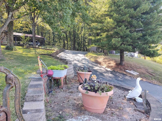 view of yard featuring a garden