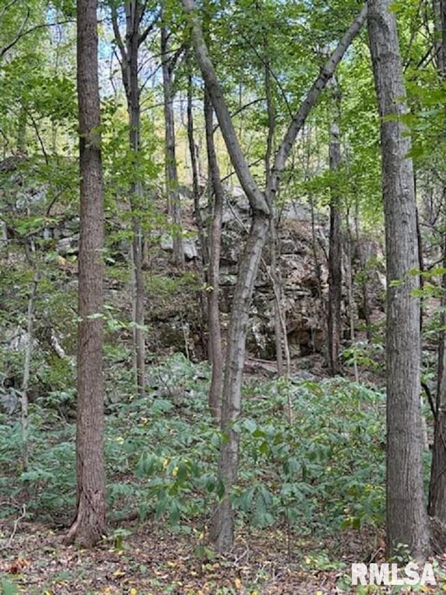 view of nature with a wooded view