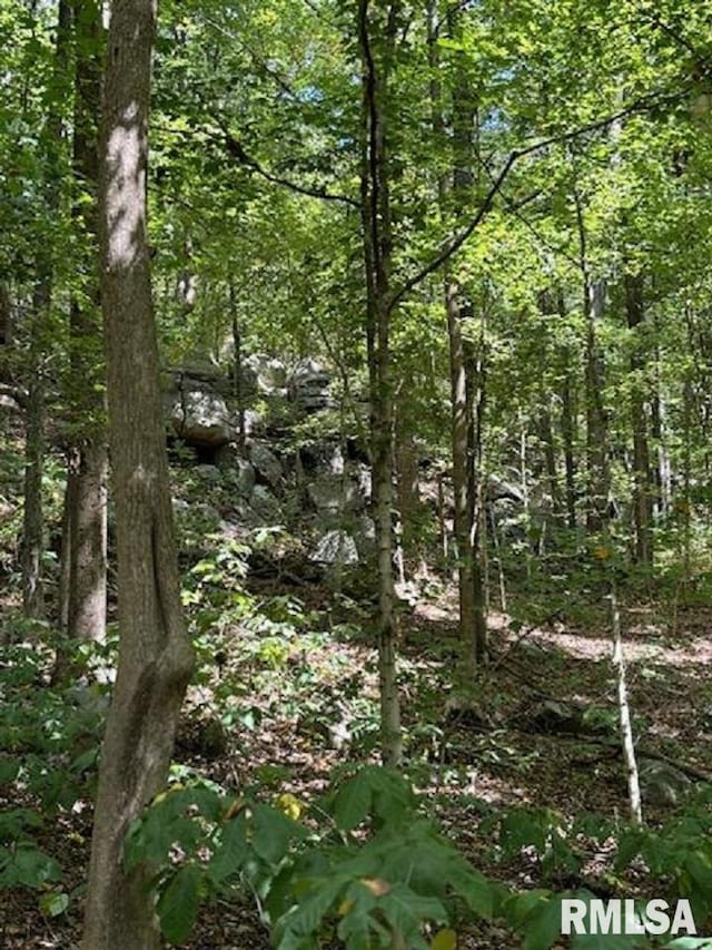 view of landscape with a view of trees