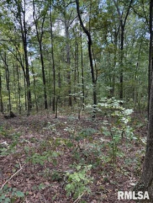 view of nature with a wooded view