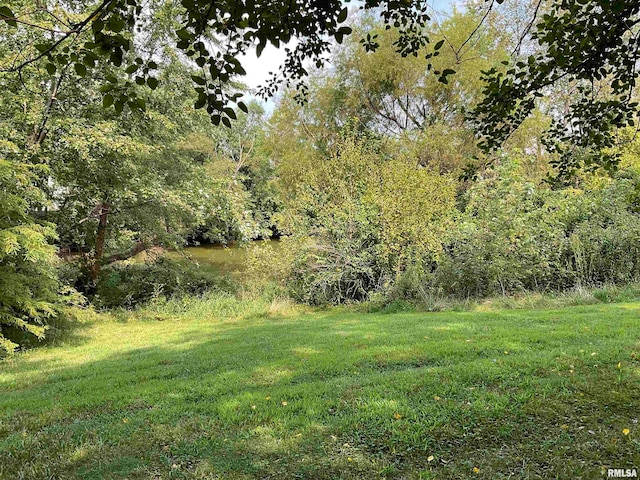 view of yard with a water view