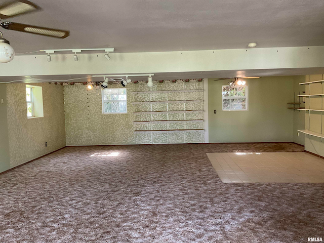 basement featuring carpet floors and a healthy amount of sunlight