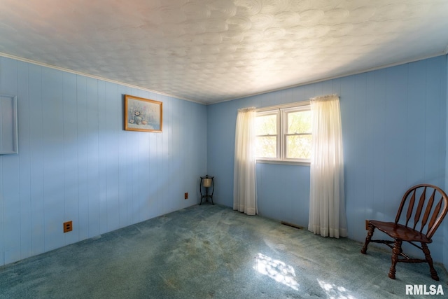 unfurnished room featuring wood walls and carpet flooring