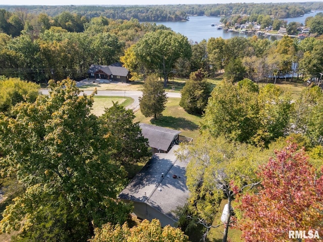 25 Lees Dr, Creal Springs, IL 62922 - drone / aerial view with a wooded view and a water view