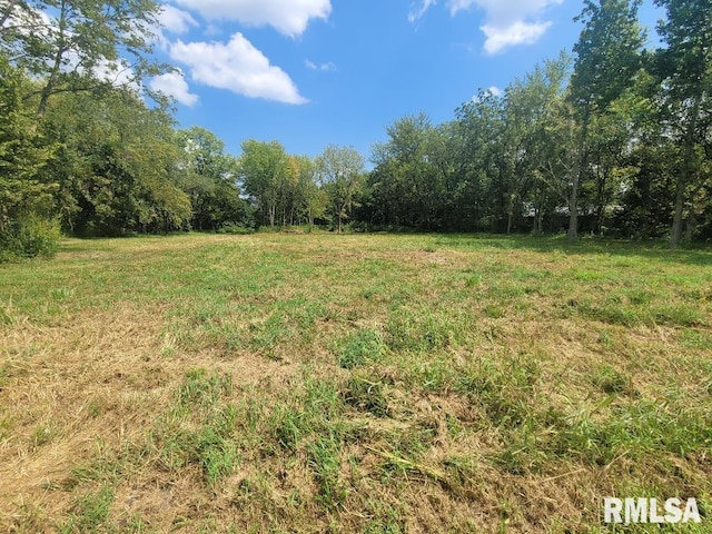 000 N Hirons St, Waltonville IL, 62894 land for sale