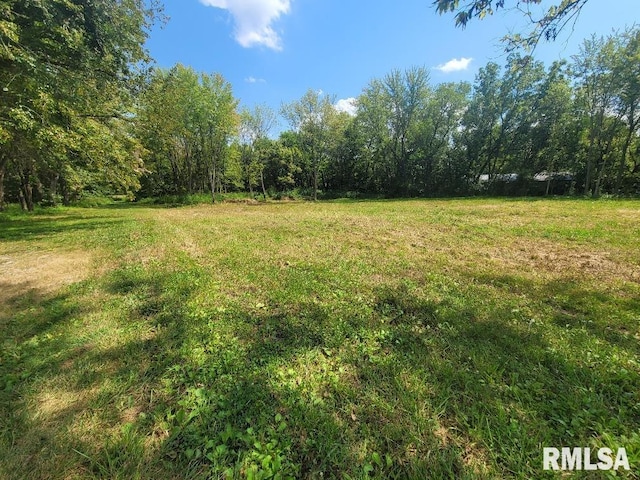 Listing photo 2 for 000 N Hirons St, Waltonville IL 62894