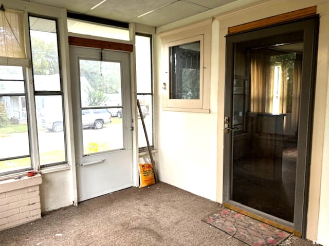 doorway with carpet floors