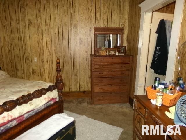 318 Williams St, Rosiclare, IL 62982 - carpeted bedroom with wooden walls
