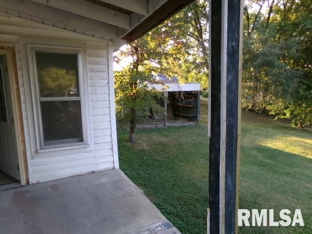 318 Williams St, Rosiclare, IL 62982 - view of yard