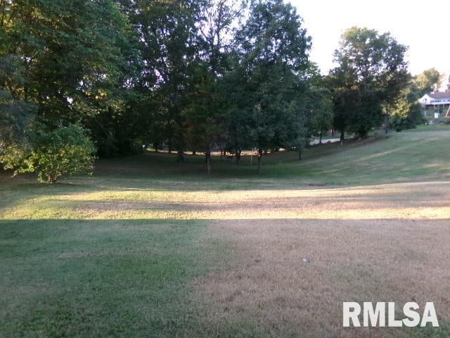 318 Williams St, Rosiclare, IL 62982 - exterior space