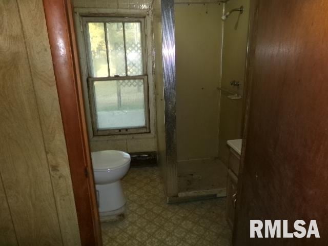 318 Williams St, Rosiclare, IL 62982 - bathroom featuring a shower, toilet, and vanity