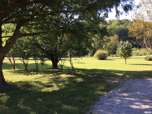 view of home's community featuring a yard