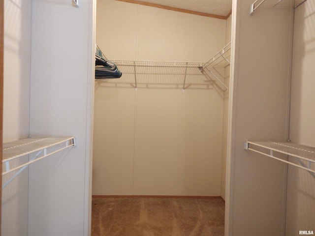 spacious closet featuring light carpet