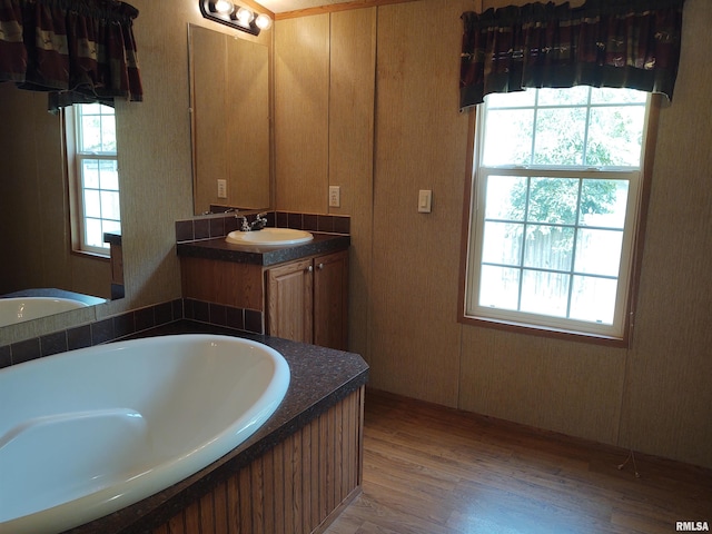 bathroom featuring vanity, a healthy amount of sunlight, hardwood / wood-style floors, and a tub