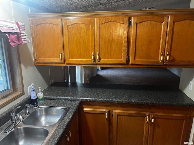 kitchen with sink