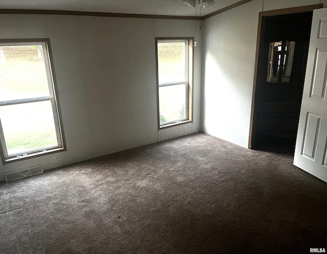 spare room with a wealth of natural light, carpet, and a textured ceiling