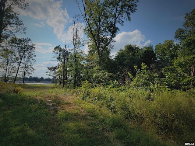000 W 13th St, Johnston City, IL 62951