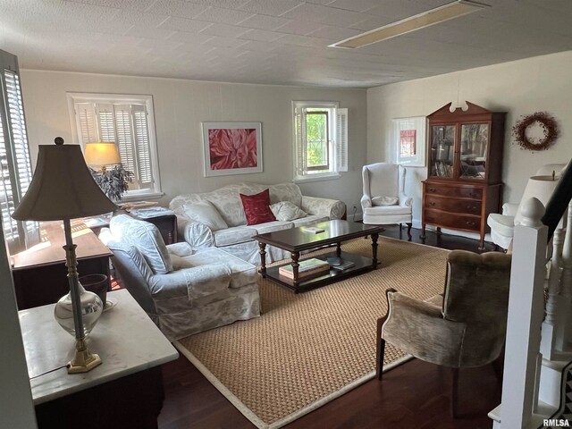 living room featuring dark hardwood / wood-style flooring