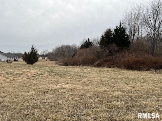 0000 N 42nd St, Mount Vernon IL, 62864 land for sale