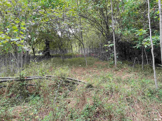 Listing photo 2 for LOT1355 Eagle Claw Pt, Goreville IL 62939