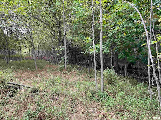 Listing photo 3 for LOT1355 Eagle Claw Pt, Goreville IL 62939