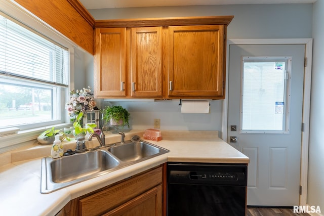 kitchen featuring wood-type flooring, dishwasher, and sink