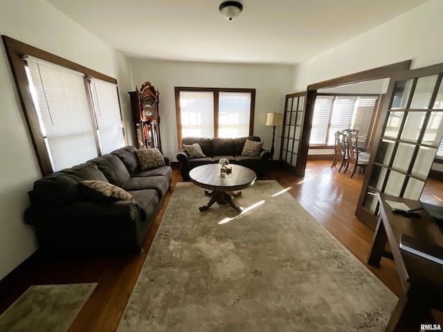 living room featuring hardwood / wood-style flooring