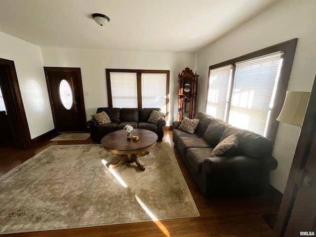 living room featuring dark hardwood / wood-style flooring