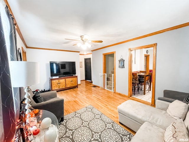 living room with crown molding, light hardwood / wood-style floors, and ceiling fan