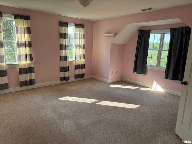 additional living space with light carpet