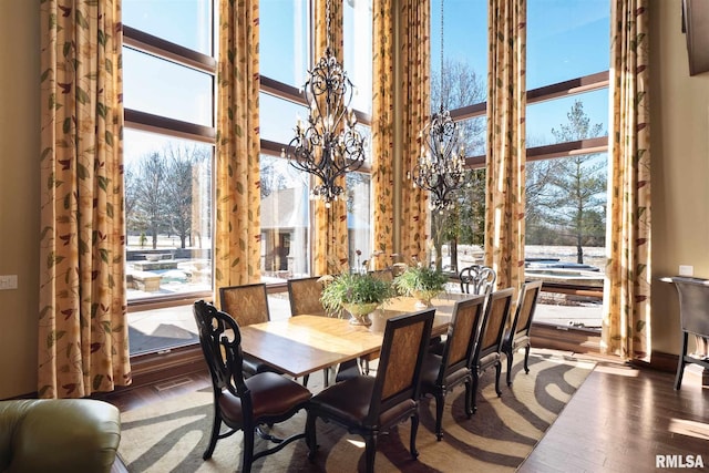 dining room with a high ceiling, dark hardwood / wood-style floors, and plenty of natural light