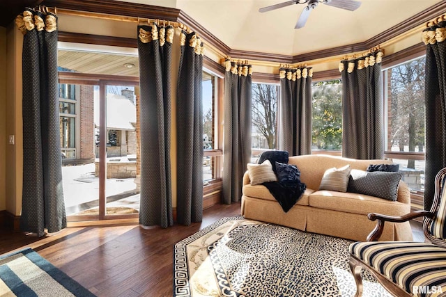 living room with a wealth of natural light, ceiling fan, dark hardwood / wood-style floors, and crown molding