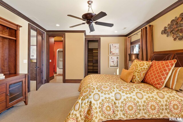 bedroom featuring crown molding, carpet flooring, ceiling fan, and a walk in closet