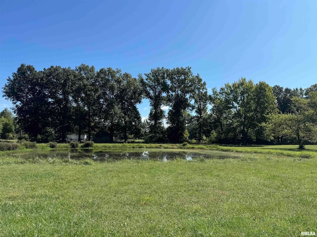 view of yard with a water view