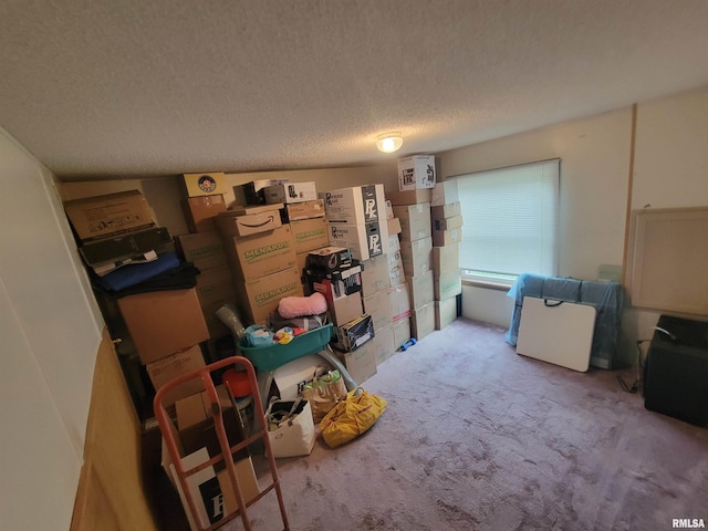 miscellaneous room with a textured ceiling and carpet flooring