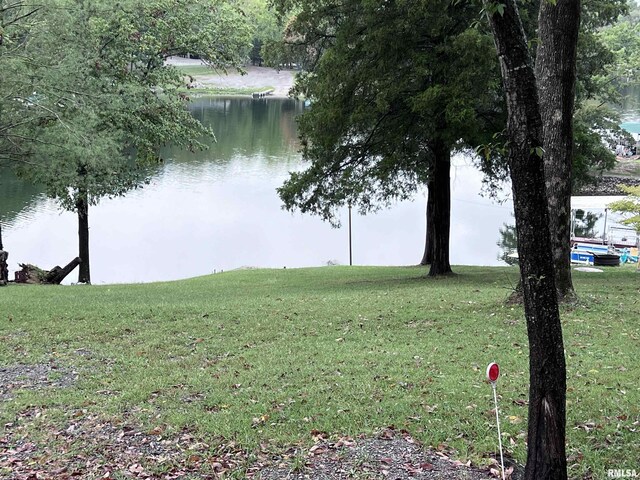 00 N Lakeshore Dr, Goreville, IL 62939 - photo 5