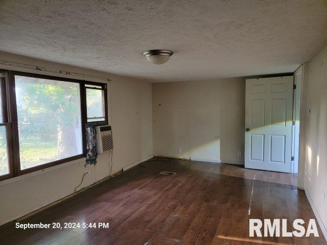 empty room featuring a textured ceiling, dark hardwood / wood-style flooring, and a wealth of natural light