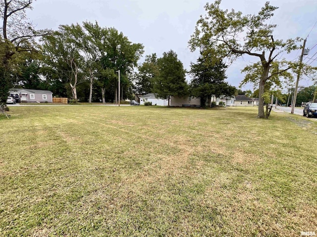 1106 N 11th St, Murphysboro, IL 62966 - view of yard