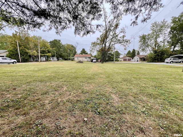 1106 N 11th St, Murphysboro, IL 62966 - view of yard