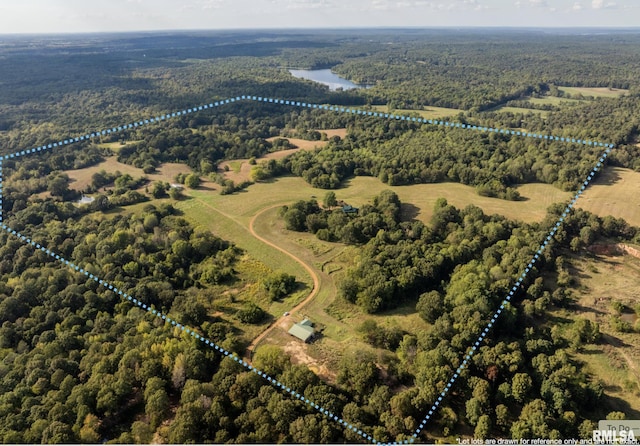 bird's eye view featuring a rural view, a forest view, and a water view