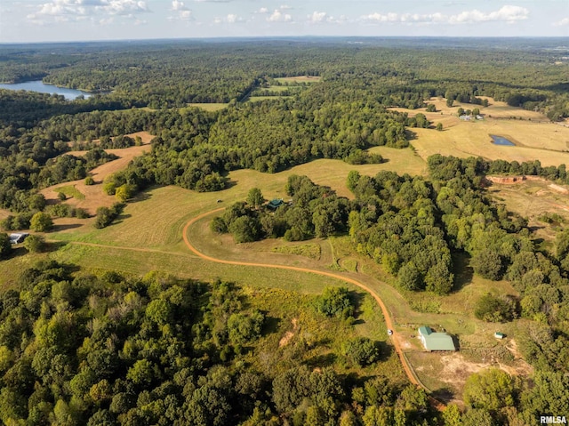 bird's eye view with a wooded view and a water view