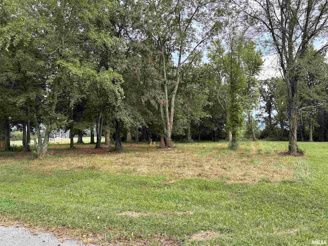 Listing photo 2 for LOT1 E Cedar Hills Ests, Mount Vernon IL 62864