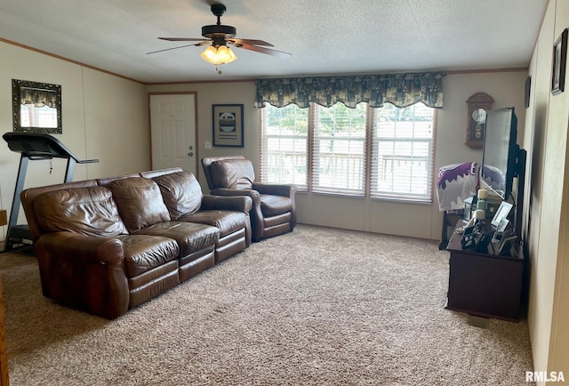 living room with ceiling fan, crown molding, carpet flooring, and a textured ceiling