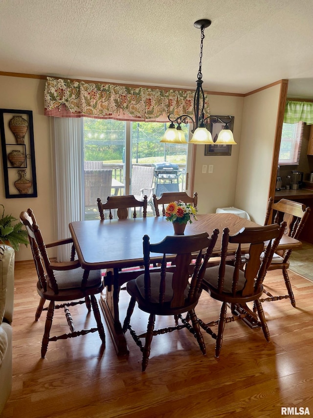 dining space featuring wood-type flooring, a textured ceiling, and a wealth of natural light