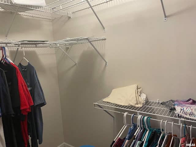 view of spacious closet