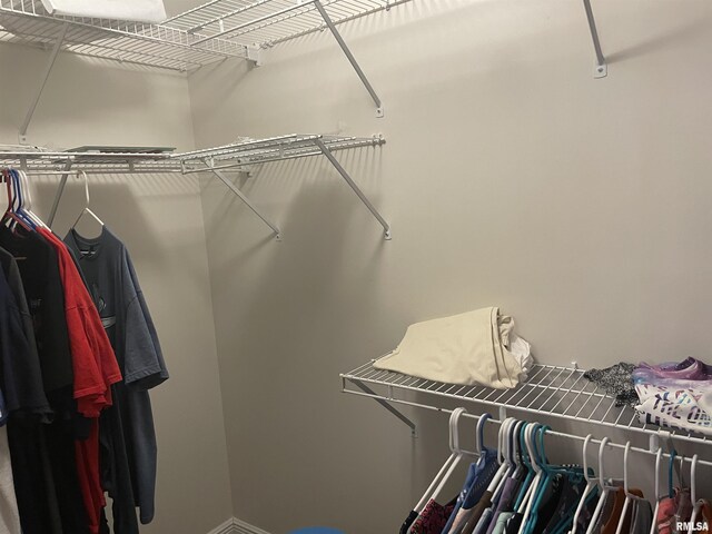 view of walk in closet